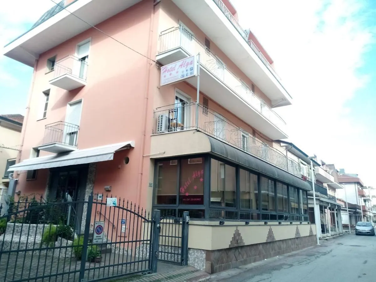 Hotel Alga contacts